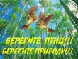 Птицы  - наши друзья