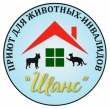 Волонтерское движение УМКА