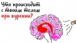 Что происходит с твоим телом при курении