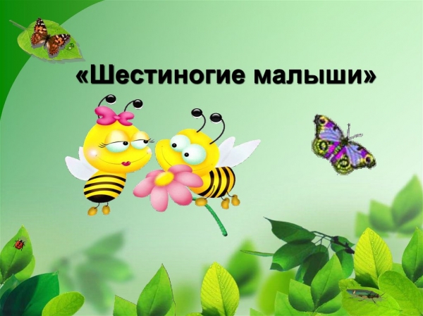 Шестиногие малыши