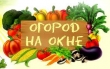 Огород на окне